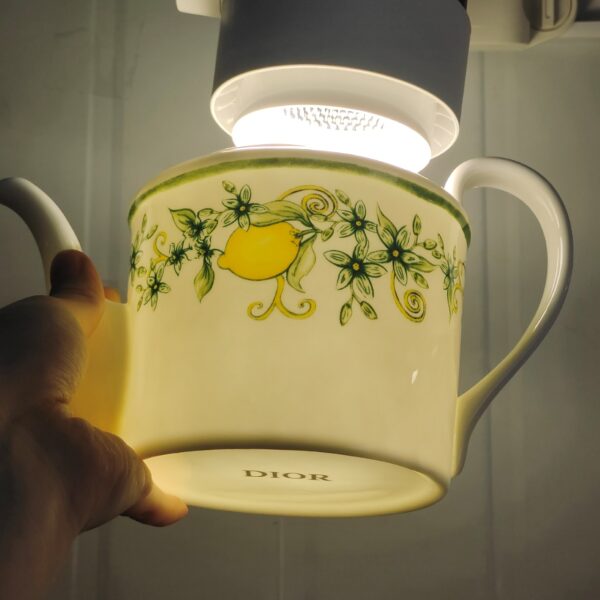 Colorful Lemons Series Bone China Plates Lemond Fruit Dishes