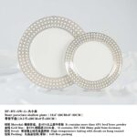 Dior SBCHT276 Dior Dinnerware Set Dior Dishes and Plates Set China