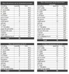 Hermès Tressages Equestres Porcelain Dinner Plates - Durable & Stylish